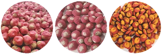 Bi-color Pet Kibbles Bi-color Pet Kibbles Finished Products