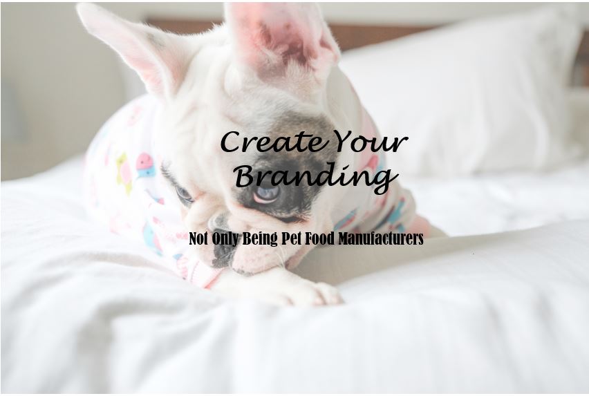 Create your branding