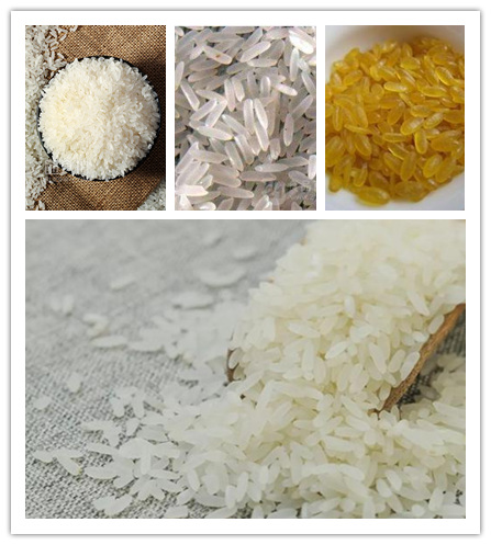 Sample of articial rice