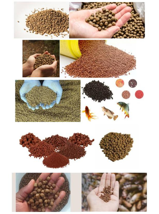 Floating Fish Food Extruding Line