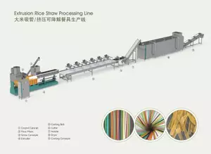 Extrusion Rice Straw Processing Line