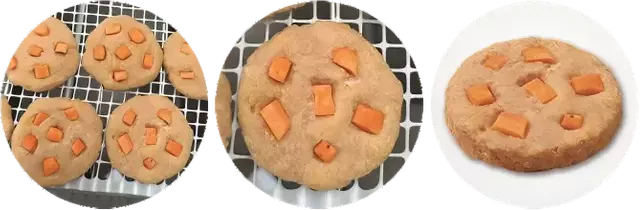 Diced Fruit Patty Treats Processing Line