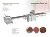 Semi-auto Pet Jerky Treats Processing Line